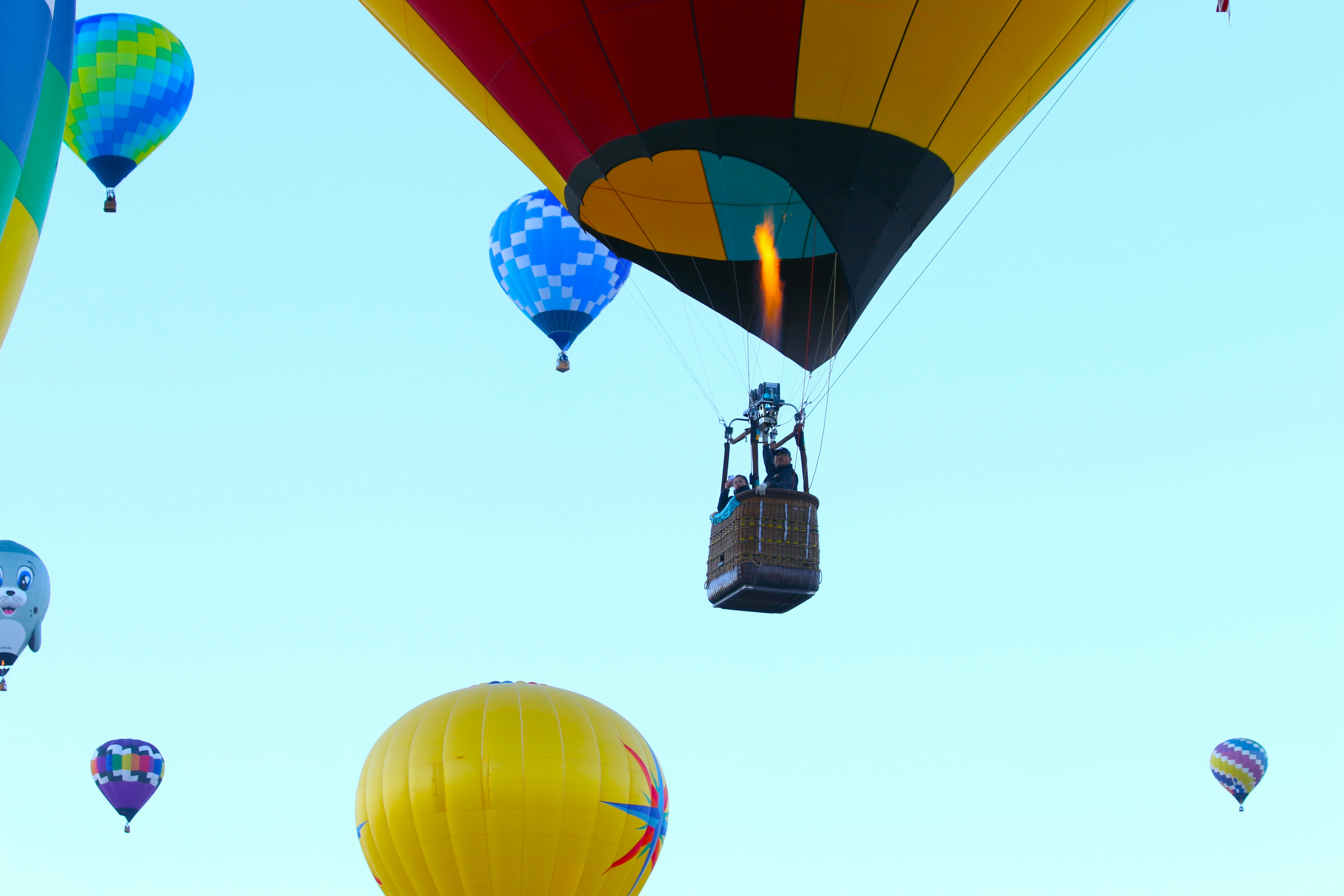 globo segovia